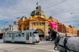 Hoc bong dai hoc Melbourne