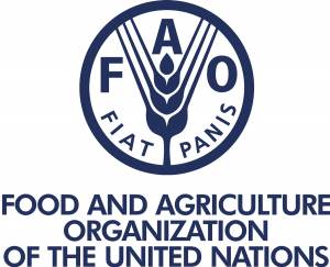 chuong-trinh-thuc-tap-expression-of-interest-fao-hq-internship-programme-to-chuc-luong-thuc-va-nong-nghiep-lien-hiep-quoc