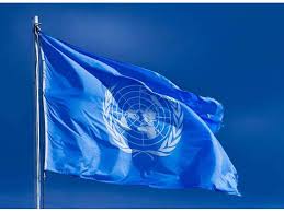 chu-du-the-gioi-voi-united-nations-youth-champions-for-disarmament-tai-tro