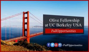 chuong-trinh-trao-doi-ngan-han-uc-berkeley-olive-fellowship-2020-my-toan-phan