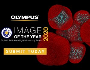 co-hoi-tham-gia-cuoc-thi-olympus-image-of-the-year-award-2020